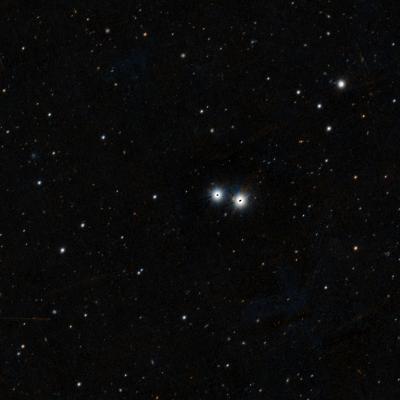M40