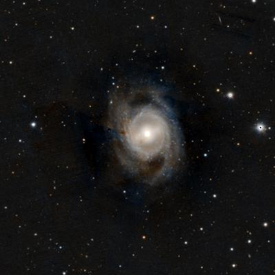 M95
