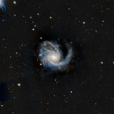 M99 Coma Pinwheel