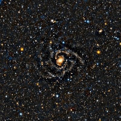 IC 342 Hidden Galaxy