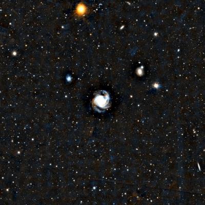 M61