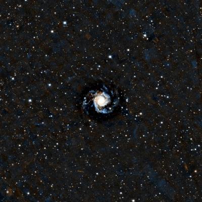 M74 Phantom Galaxy