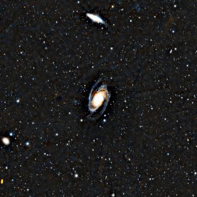 M81 Bode's Galaxy
