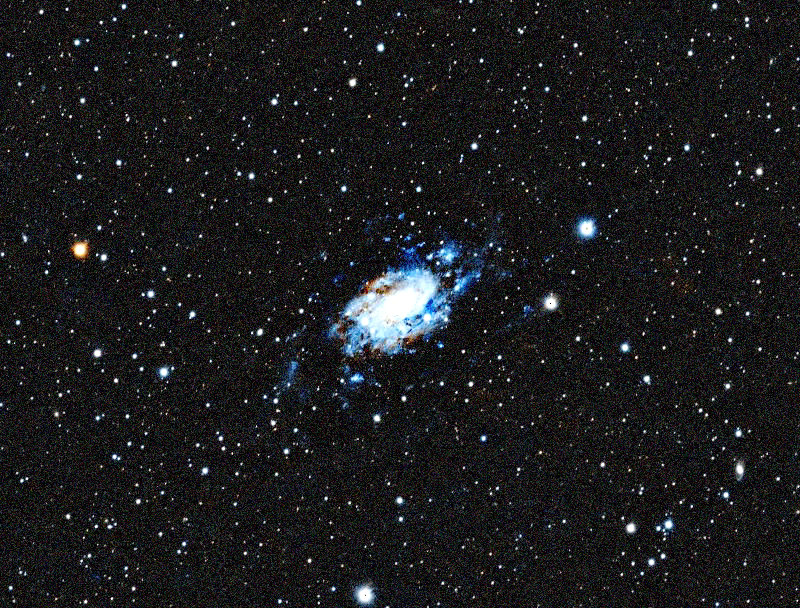 Foto simulata di un'ora di NGC 2403 con il eQuinox 2