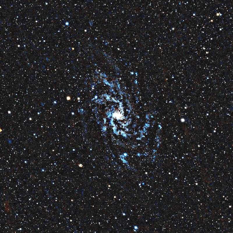 Foto simulada de una hora de Triangulum Galaxy con el Vespera Pro 2